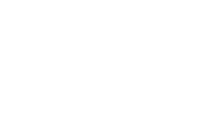 Logo NIS2 compliant